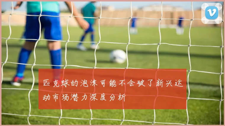 匹克球的泡沫可能不会破了新兴运动市场潜力深度分析